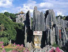 Stone Forest Kunming