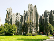 stoneforest