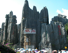 stone forest