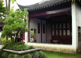 Lion Grove Garden